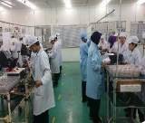 Assembly Section Assembly Section