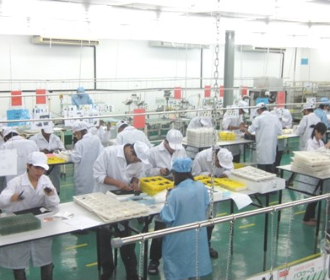 Assembly Section Assembly Section